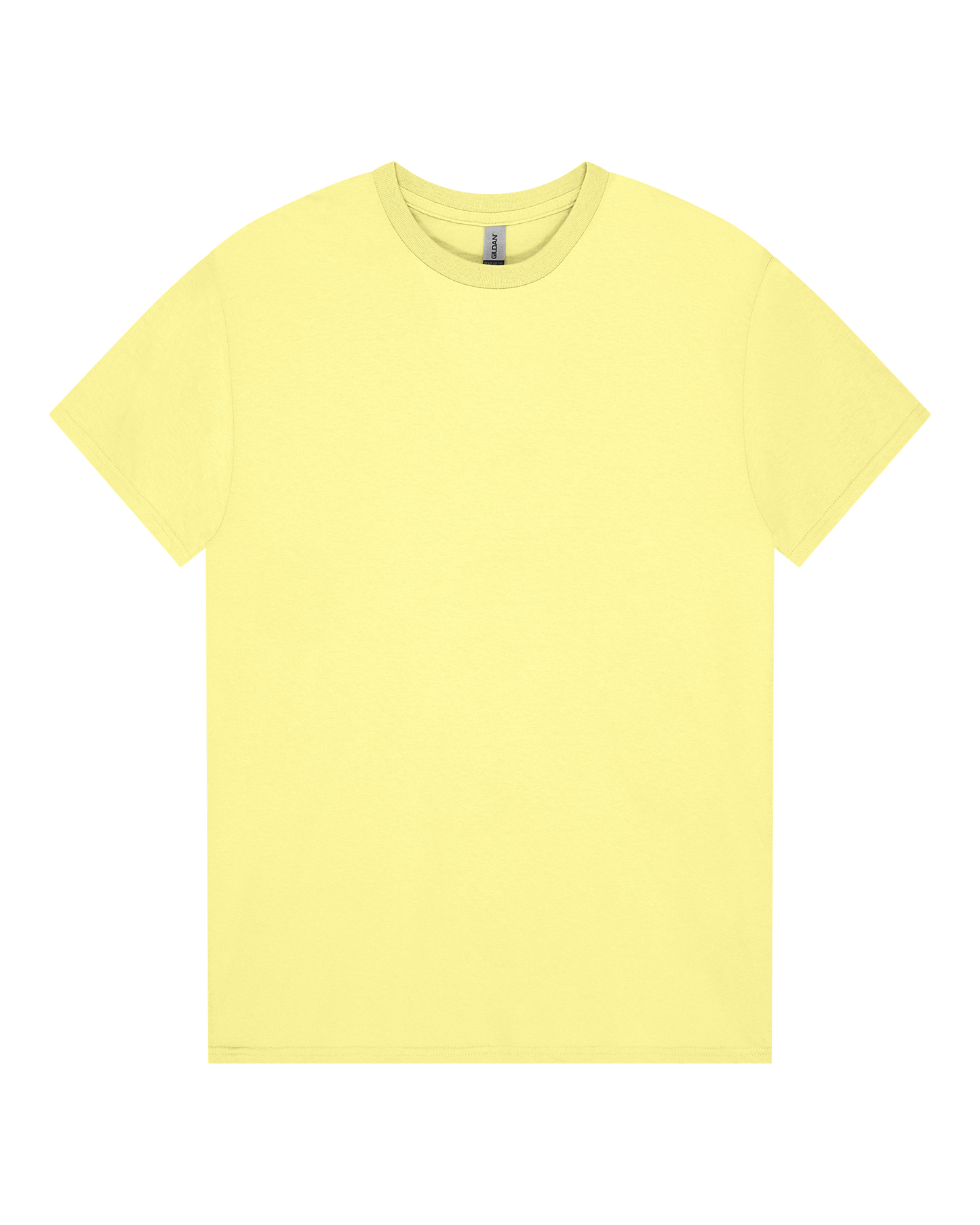 Heavy Cotton T-Shirt (Min 12)