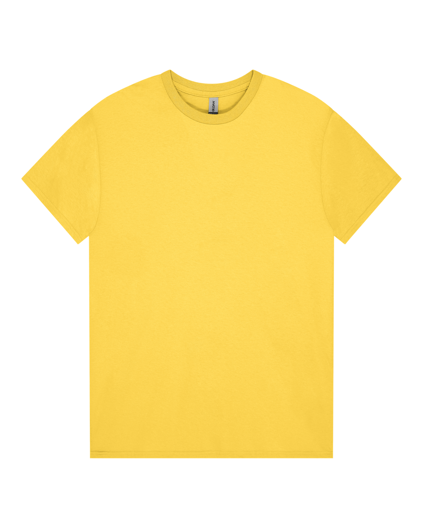 Heavy Cotton T-Shirt (Min 12)